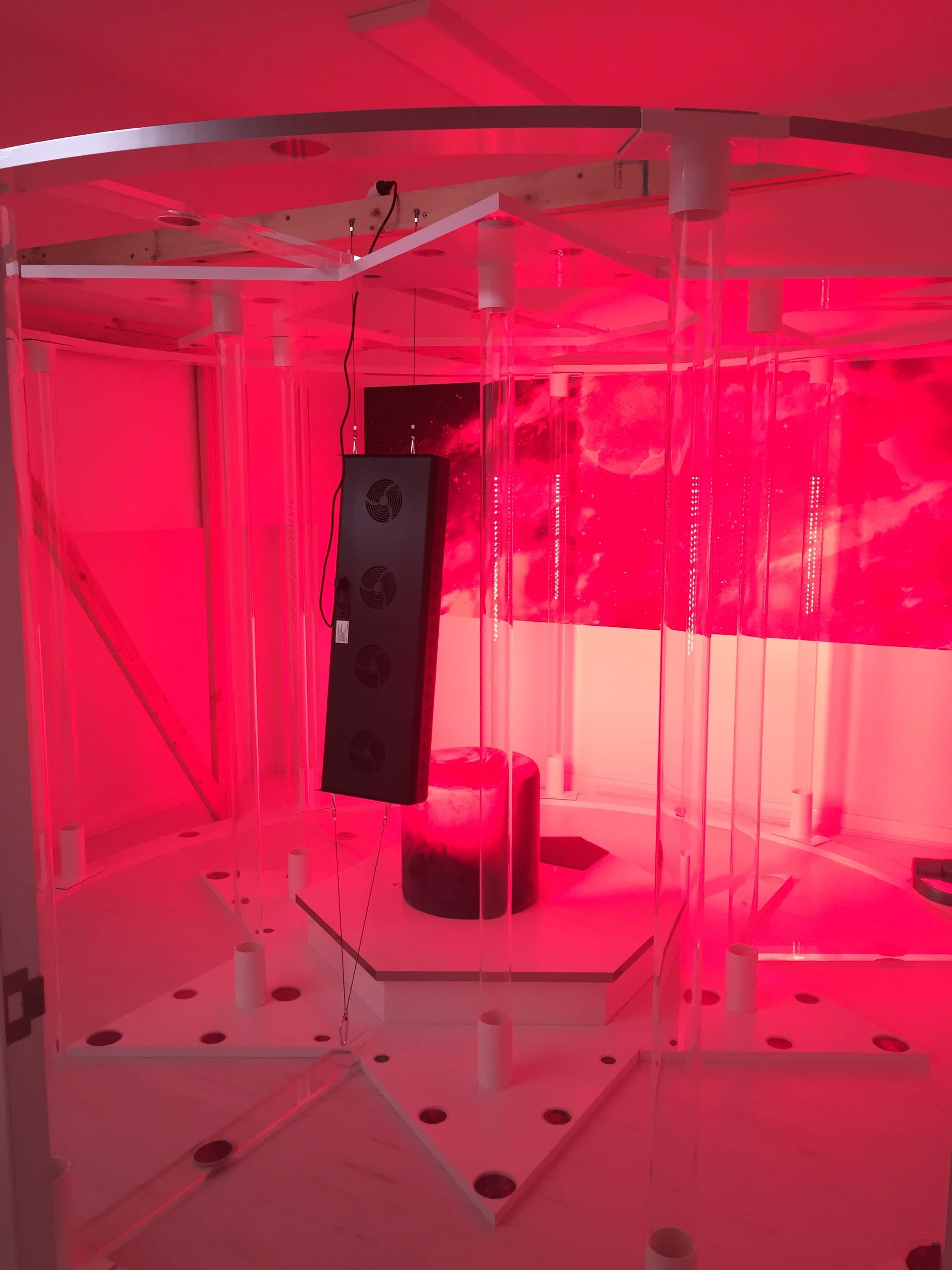 Bodies in Motion Light Therapy Room